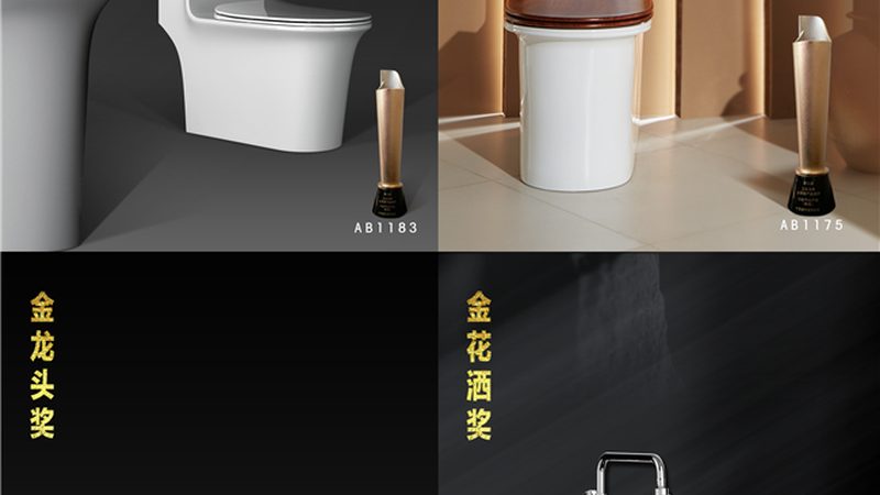 家庭用墙排马桶，选购时的关键要素揭秘